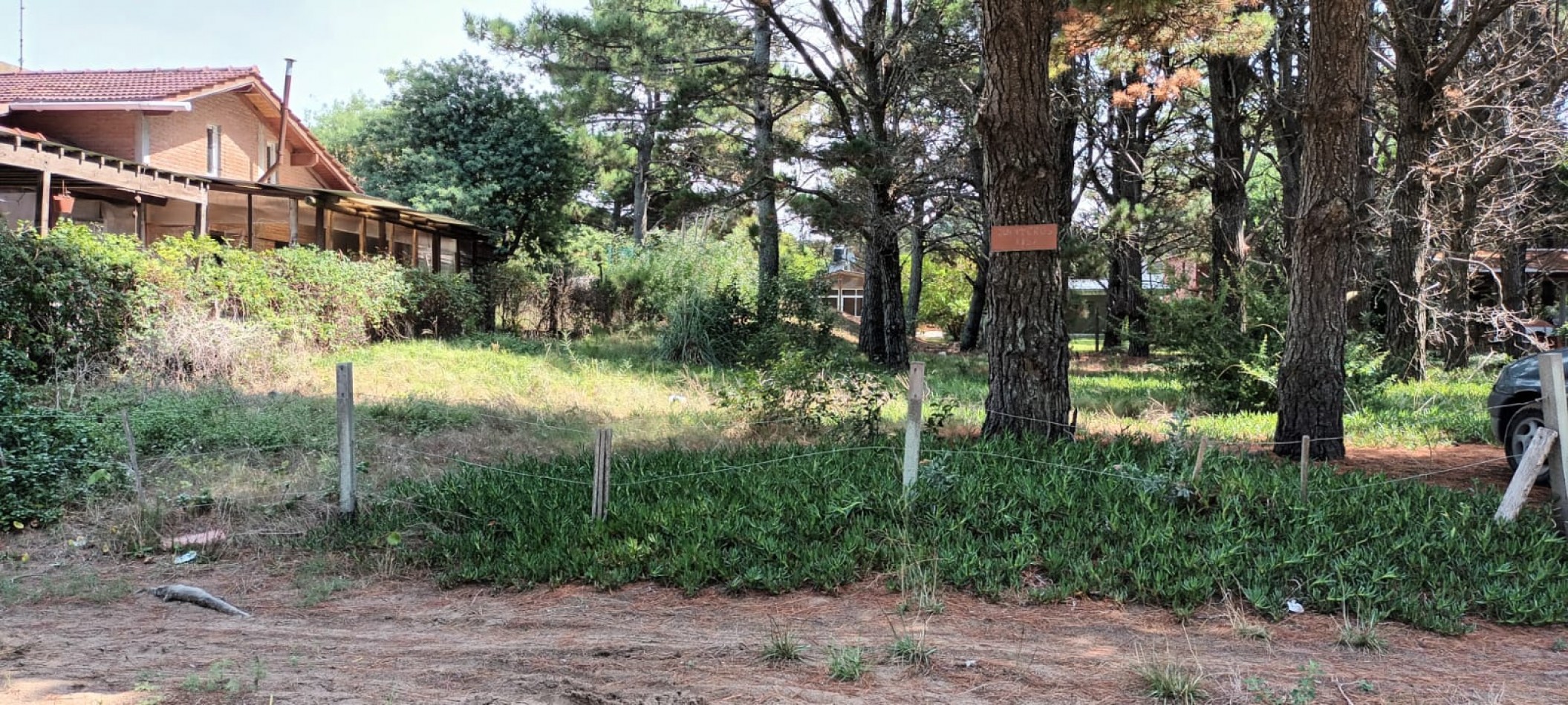  LOTE FORESTADO CERCA DEL MAR
