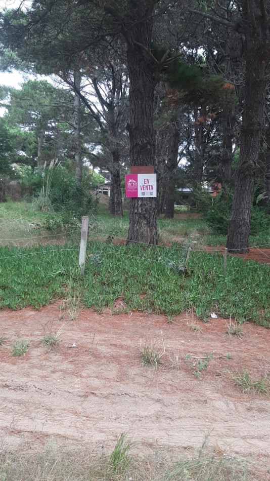  LOTE FORESTADO CERCA DEL MAR