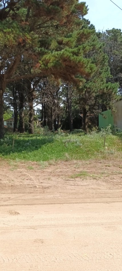  LOTE FORESTADO CERCA DEL MAR
