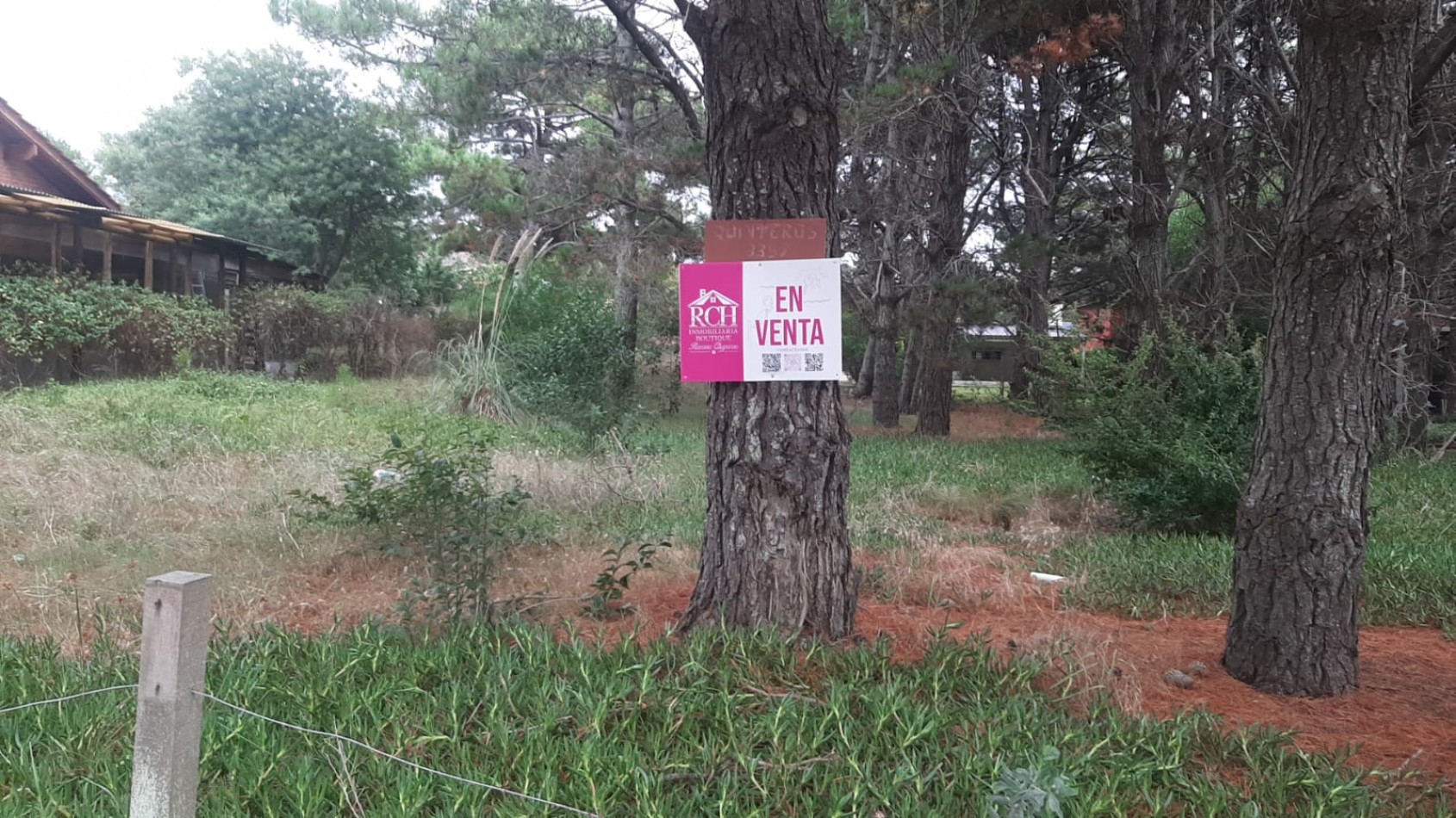  LOTE FORESTADO CERCA DEL MAR