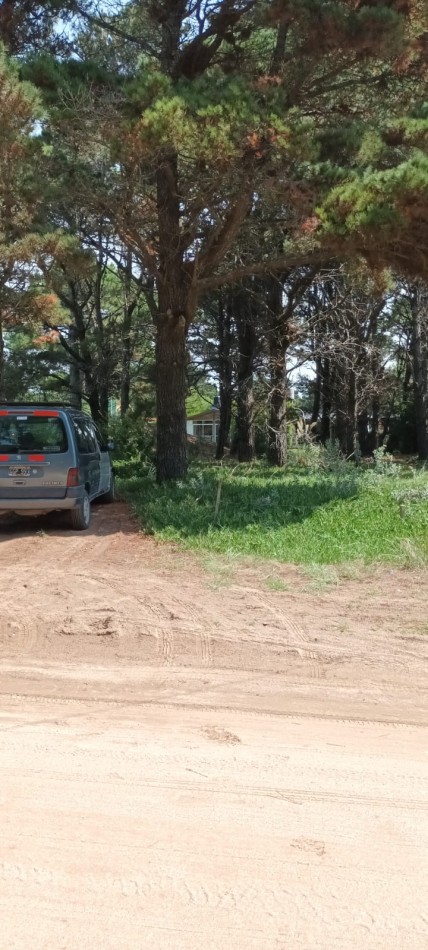  LOTE FORESTADO CERCA DEL MAR