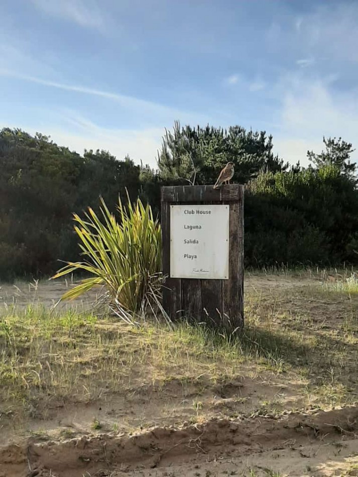 LOTE DE 1000 M2 EN PUNTA MEDANOS