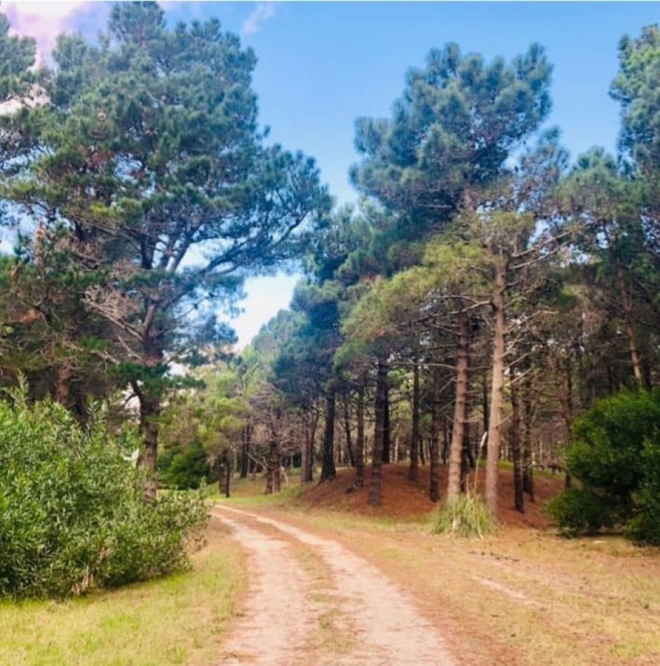 LOTE DE 1000 M2 EN PUNTA MEDANOS