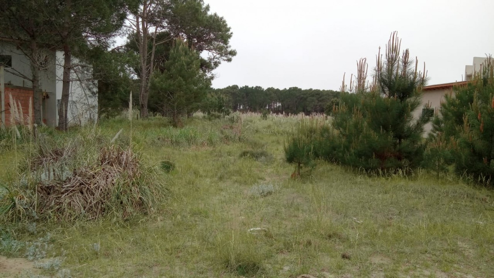LOTE DE 1000 M2 EN PUNTA MEDANOS