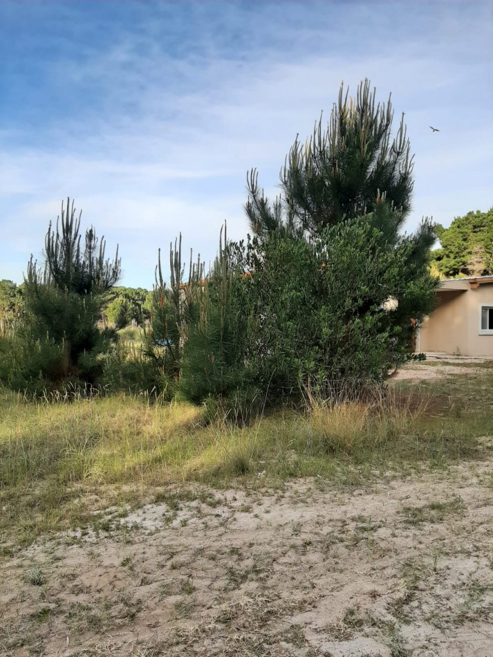 LOTE DE 1000 M2 EN PUNTA MEDANOS