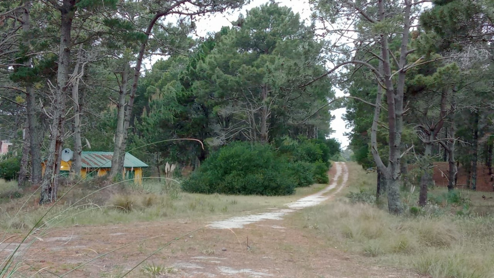 LOTE DE 1000 M2 EN PUNTA MEDANOS
