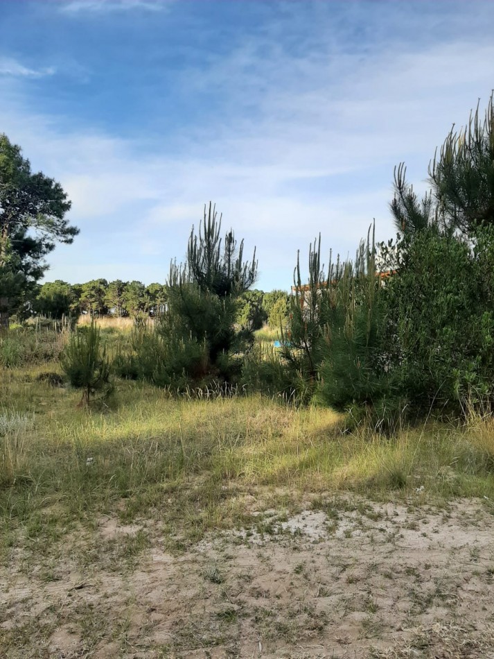 LOTE DE 1000 M2 EN PUNTA MEDANOS