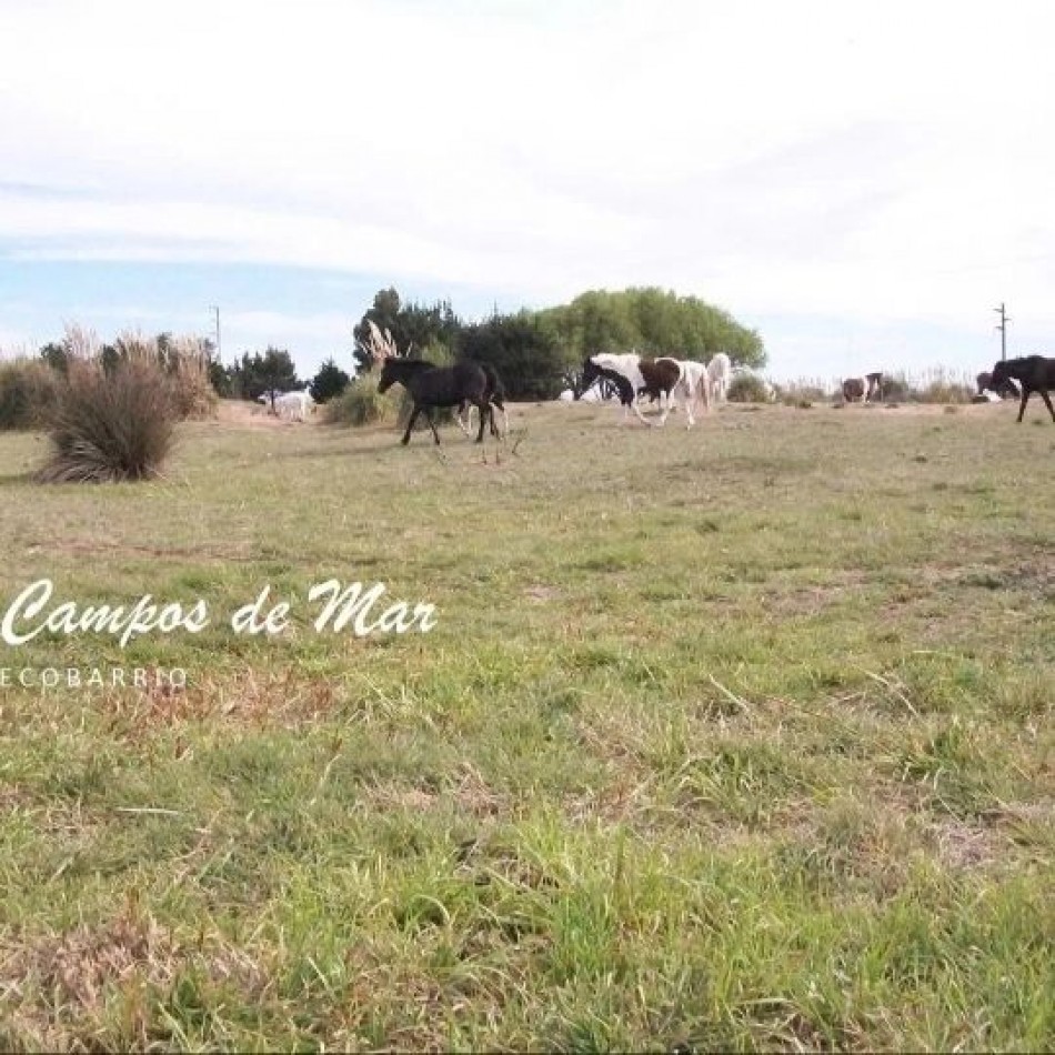  LOTE EN BARRIO SEMI CERRADO