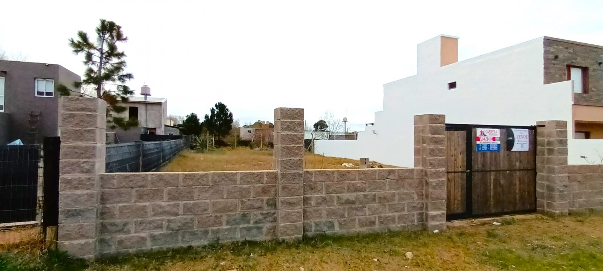 LOTE