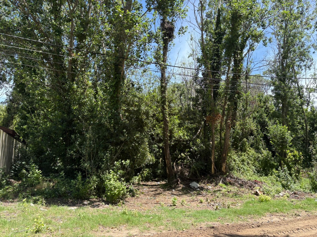 LOTE DE 800 M2 EN LAS TONINAS