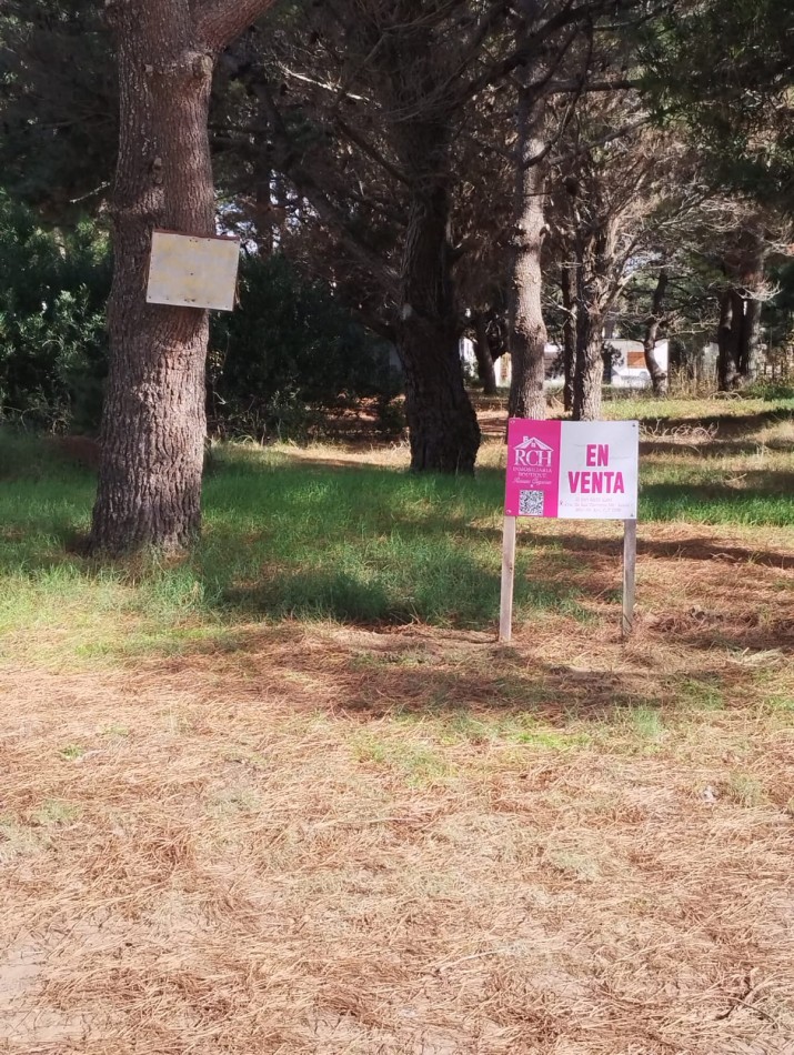 LOTRE FORESTADO