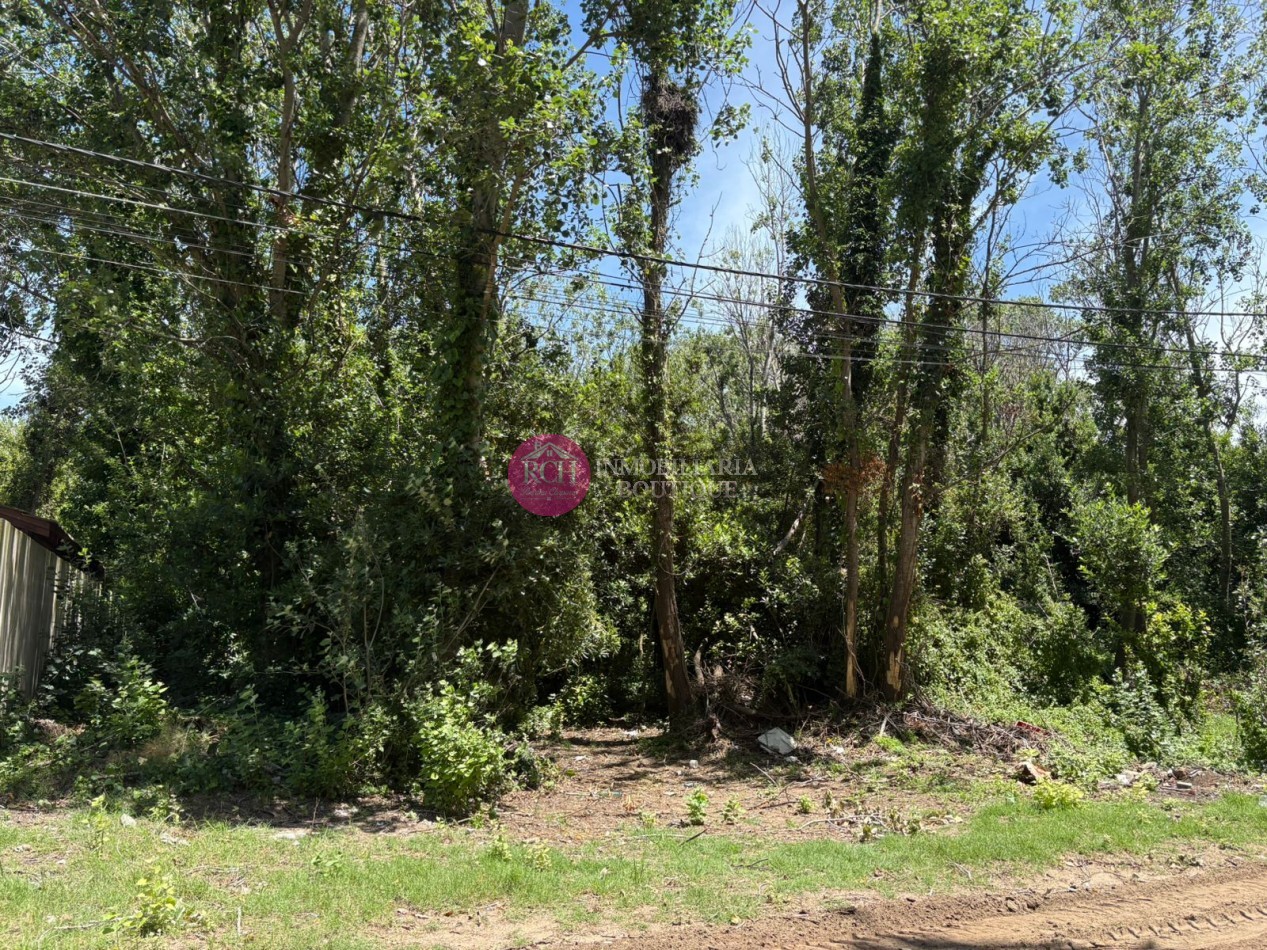 LOTE DE 800 M2 EN LAS TONINAS