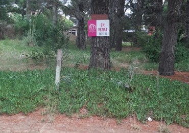  LOTE FORESTADO CERCA DEL MAR